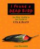 I_found_a_dead_bird