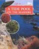 A_tide_pool_on_the_seashore