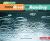 From_river_to_raindrop