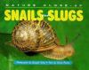Snails_and_slugs