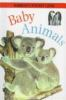 Baby_Animals
