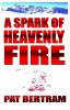 A_Spark_of_Heavenly_Fire