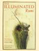 The_illuminated_Rumi