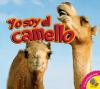 Yo_soy_el_camello__