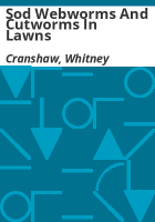 Sod_webworms_and_cutworms_in_lawns