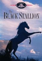 The_black_stallion
