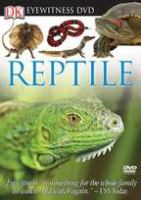 Eyewitness_reptile