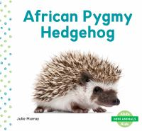 African_pygmy_hedgehog