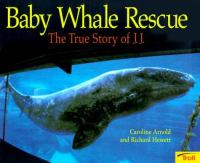 Baby_whale_rescue