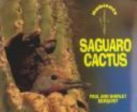 Saguaro_cactus