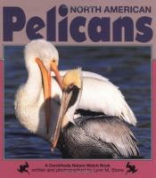North_American_pelicans