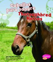 Thoroughbred_Horses__Caballos_pura_sangre