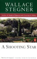 A_shooting_star