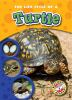 The_life_cycle_of_a_turtle