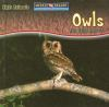 Owls_are_night_animals