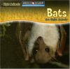 Bats_are_night_animals