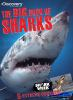 The_big_book_of_sharks