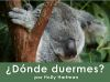 __Donde_duermes_